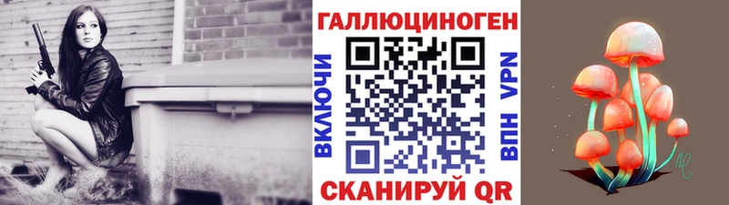 Галлюциногенные грибы Psilocybe Бологое